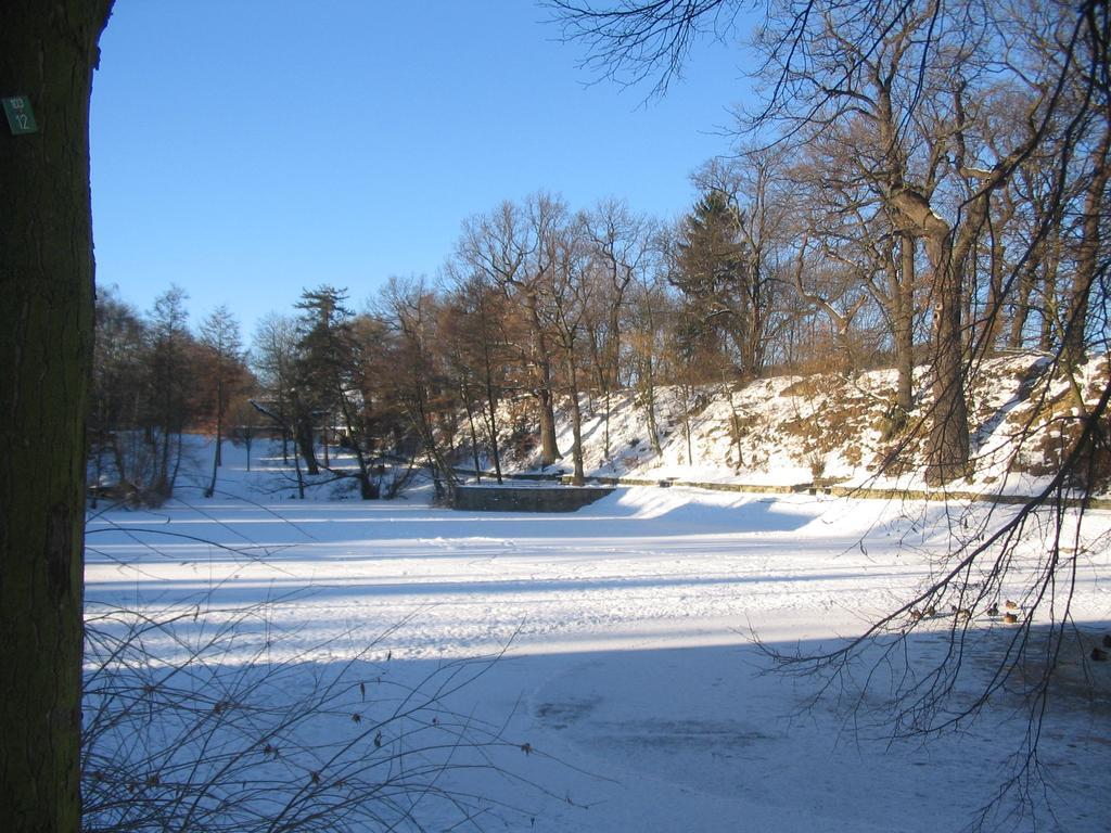 Burg Im Zwinger * Goslar